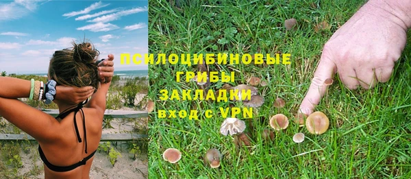 прущая мука Алексеевка