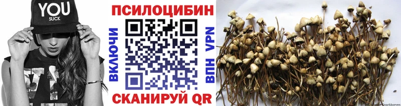где продают   Зарайск  Псилоцибиновые грибы Magic Shrooms 